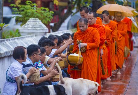 LUANG PRABANG , LAOS - AUG 11 2018 : Buddhist alms giving ceremony in Luang Prabang Laos on August 11 2018. It is estimated that about 1 in 3 male Laotians join a monasteryのeditorial素材