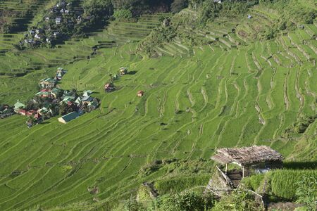 View of rice terraces fields in Banaue, Philippines. The Banaue rice terraces are UNESCO world heritage site since 1995のeditorial素材