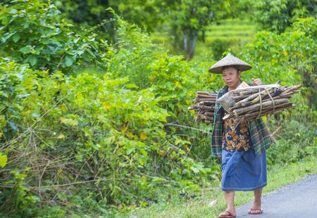 LUANG PRABANG , LAOS - AUG 14 : Laotian farmer in the countrside near Luang Prabang Laos on August 14 2018. nearly 70 percent of the population in Laos lives in villagesのeditorial素材
