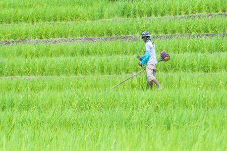 LUANG PRABANG , LAOS - AUG 14 : Laotian farmer in the countrside near Luang Prabang Laos on August 14 2018. nearly 70 percent of the population in Laos lives in villagesのeditorial素材