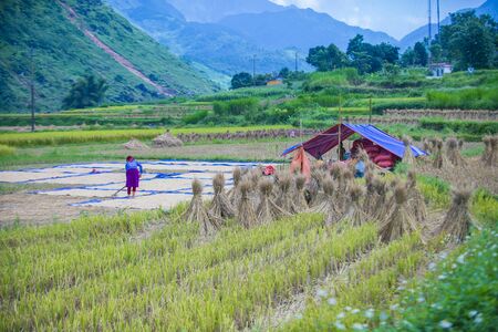 HA GIANG , VIETNAM - SEP 15 : Vietnamese farmer in a countrside near Ha Giang Vietnam on September 15 2018. nearly 80 percent of the population of Vietnam living in rural villagesのeditorial素材