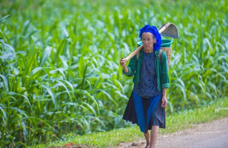 HA GIANG , VIETNAM - SEP 15 : Vietnamese farmer in a countrside near Ha Giang Vietnam on September 15 2018. nearly 80 percent of the population of Vietnam living in rural villagesのeditorial素材