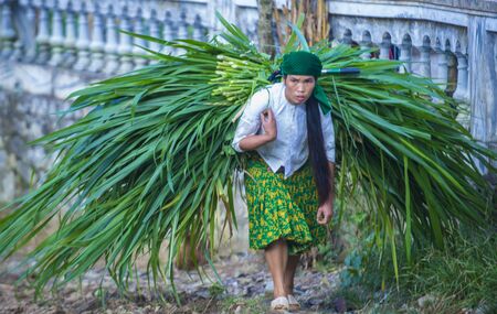 HA GIANG , VIETNAM - SEP 15 : Vietnamese farmer in a countrside near Ha Giang Vietnam on September 15 2018. nearly 80 percent of the population of Vietnam living in rural villagesのeditorial素材