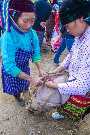 DONG VAN , VIETNAM - SEP 16 : The weekend market in Dong Van Vietnam on September 16 2018. The market is a trading place for ethnic groups from the surrounding hillsのeditorial素材