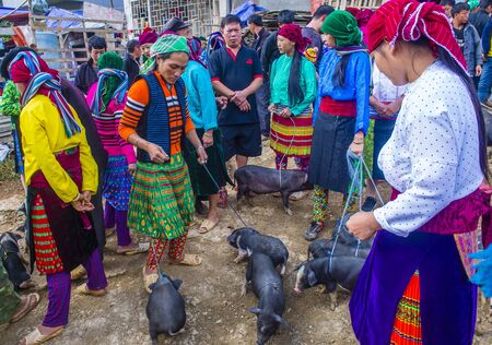 DONG VAN , VIETNAM - SEP 16 : The weekend market in Dong Van Vietnam on September 16 2018. The market is a trading place for ethnic groups from the surrounding hillsのeditorial素材