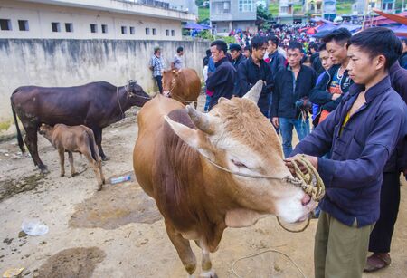 DONG VAN , VIETNAM - SEP 16 : The weekend market in Dong Van Vietnam on September 16 2018. The market is a trading place for ethnic groups from the surrounding hillsのeditorial素材
