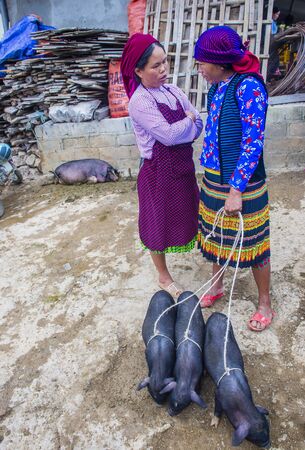 DONG VAN , VIETNAM - SEP 16 : The weekend market in Dong Van Vietnam on September 16 2018. The market is a trading place for ethnic groups from the surrounding hillsのeditorial素材