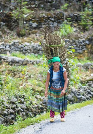 HA GIANG , VIETNAM - SEP 15 : Vietnamese farmer in a countrside near Ha Giang Vietnam on September 15 2018. nearly 80 percent of the population of Vietnam living in rural villagesのeditorial素材
