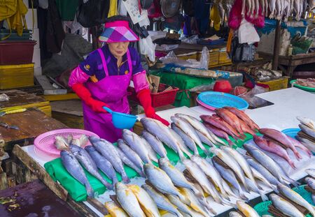BUSAN , SOUTH KOREA - OCT 10 : The Jagalchi Fish Market in Busan South Korea on October 10 2018. The market is located on the edge of Nampo Portのeditorial素材