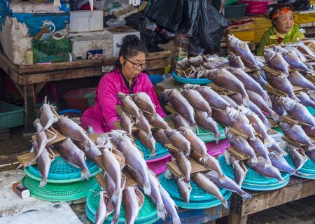 BUSAN , SOUTH KOREA - OCT 10 : The Jagalchi Fish Market in Busan South Korea on October 10 2018. The market is located on the edge of Nampo Portのeditorial素材