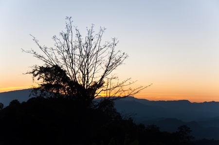 Sunset at top of mountain, Chiengmai, Thailand.の写真素材
