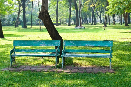 Two benches in the public park at morning, Thailand.の写真素材