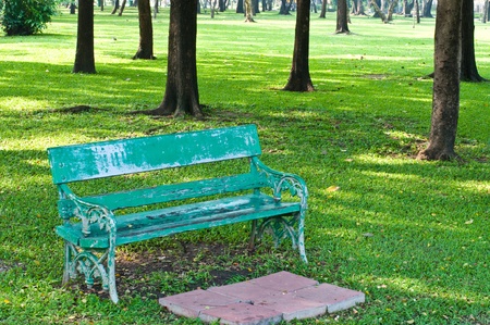 A bench in the public park at morning, Thailand.の写真素材
