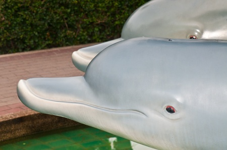 Head of dolphin Fiber Glass Model, Thailand.の写真素材