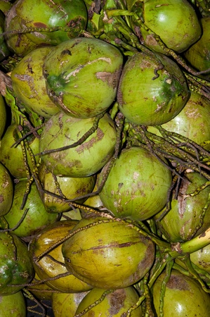 Group of green coconuts, Thailand.の写真素材