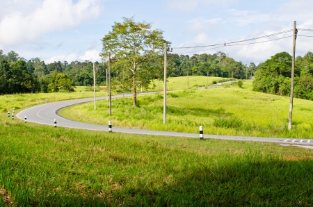 Road at Khao Yai national park, Thailand の写真素材