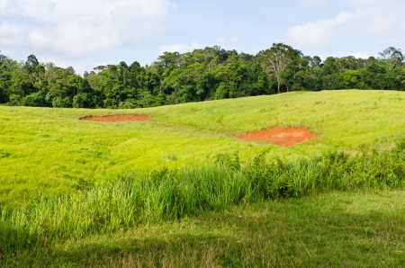 Green filed on the mountain, Thailand の写真素材