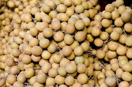 Group of fresh longan, Thailand の写真素材