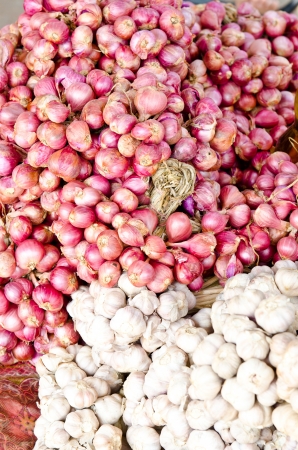Close up of onion and garlic, Thailand の写真素材