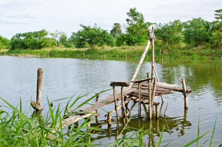 Lake in public park, Thailand の写真素材
