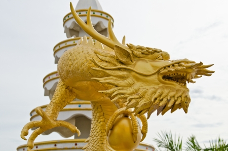 Head of golden dragon statue, Thailand.の写真素材