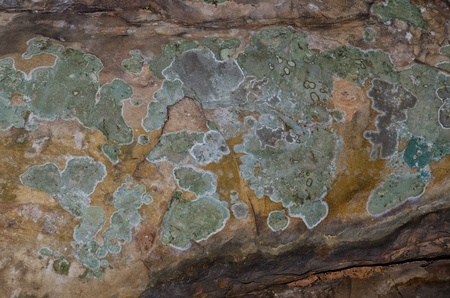 Texture of green stone, Thailand.の写真素材