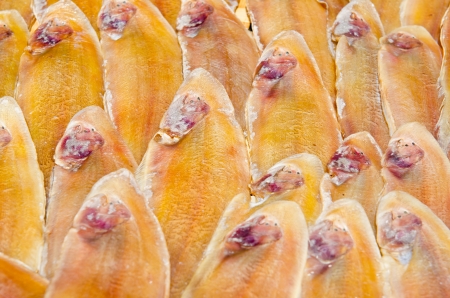 Dry fish in the market, Thailand.の写真素材