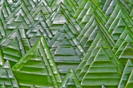 Green leaf decoration background, Thailand.の写真素材