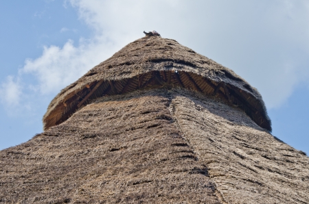 Roof of hut, Thaiand の写真素材