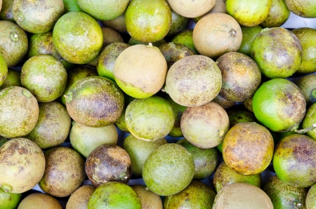 Close up of Thai lemon in the market, Thailand.の写真素材