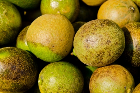 Close up of Thai lemon in the market, Thailand.の写真素材