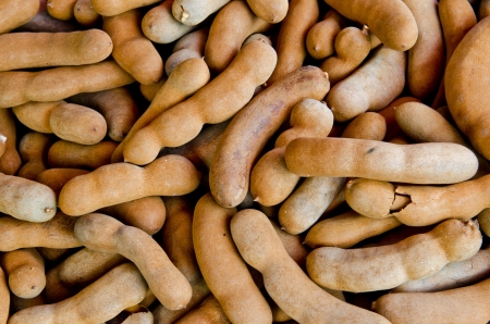 Close up of tamarind fruit, Thailand.の写真素材