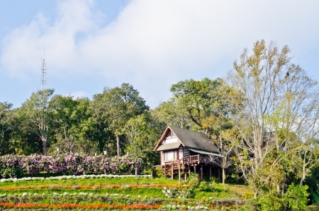 Phra Tamnak Siri Song Bhubing building at the Bhubing palace, Thailand.のeditorial素材