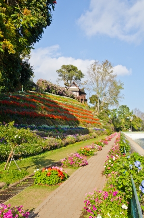 Some area of the Bhubing palace, Thailand.のeditorial素材