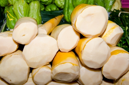 Bamboo shoot at the market, Thailand の写真素材