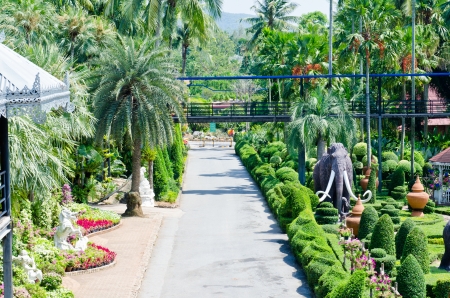 Landscape of beautiful public park, Thailand.の写真素材