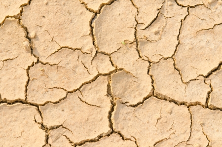 Soil cracking, Thailand.の写真素材