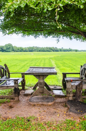 Thai style desk with rice field, Thailand.の写真素材