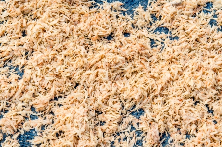 Raw ingredient for shrimp paste or shrimp sauce, Thailandの写真素材