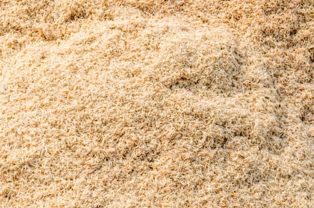 Raw ingredient for shrimp paste or shrimp sauce, Thailandの写真素材