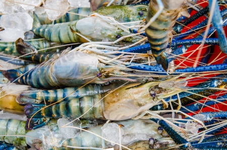 Fresh shrimp at seafood market, Thailandの写真素材