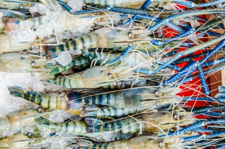 Fresh shrimp at seafood market, Thailandの写真素材