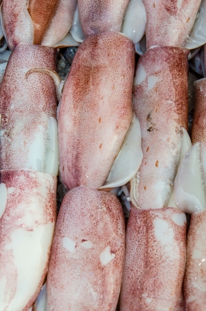 Fresh squid at fresh market, Thailandの写真素材