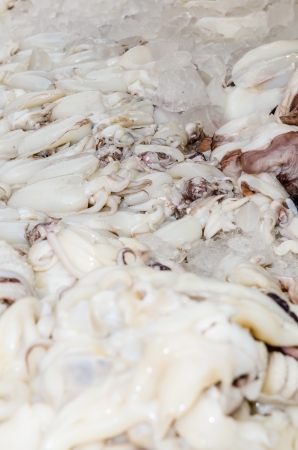 Fresh squid at fresh market, Thailandの写真素材