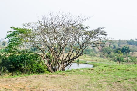 Landscape of nature, Thailandの写真素材