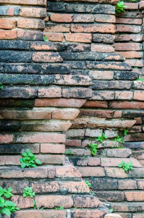 Ancient wall at Ayutthaya province, Thailandの写真素材