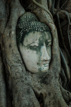 Head of Buddha statue in tree roots at Mahathat temple, Ayutthaya province, Thailandの写真素材