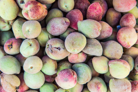 Group of green peaches, Thailand