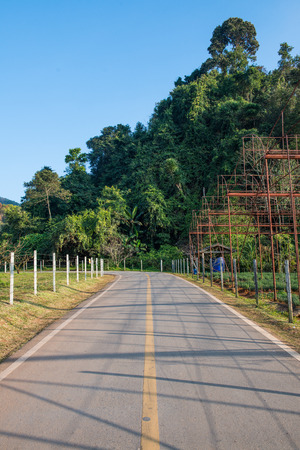 Road in Park, Thailandの写真素材