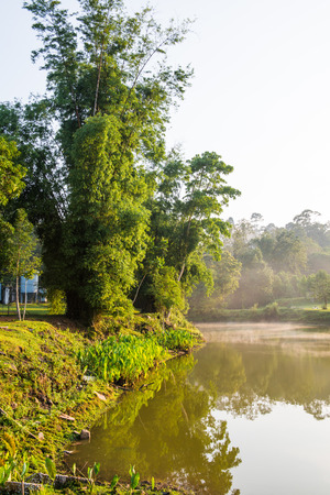 Landscape of khao Yai national park, Thailandの写真素材